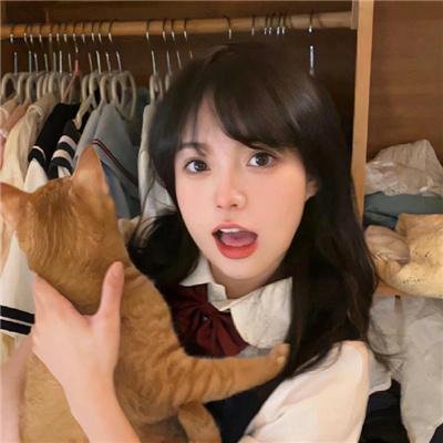 偷龙转猫